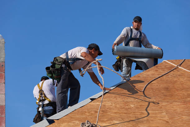 Roof Waterproofing Services in Mathews, LA