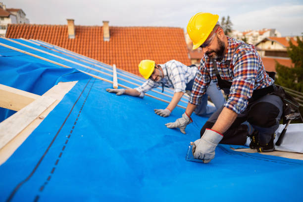 Best Roof Waterproofing Services  in Mathews, LA